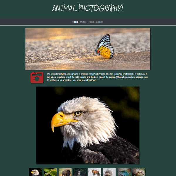 Animal Photography Website