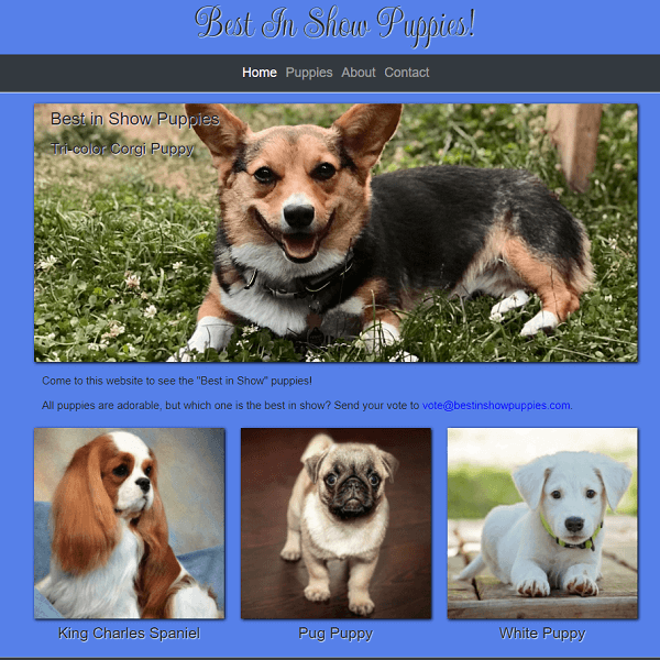 Best in Show Puppies Website